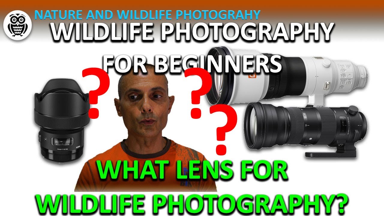 What lens for wildlife photography? - Streamed by Giuseppe Gessa