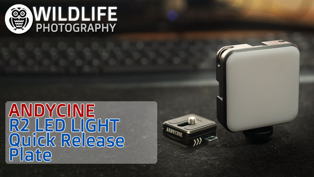 ANDYCINE products REVIEW | R2 Mini RGB Light, Quick release plate - Streamed by Giuseppe Gessa