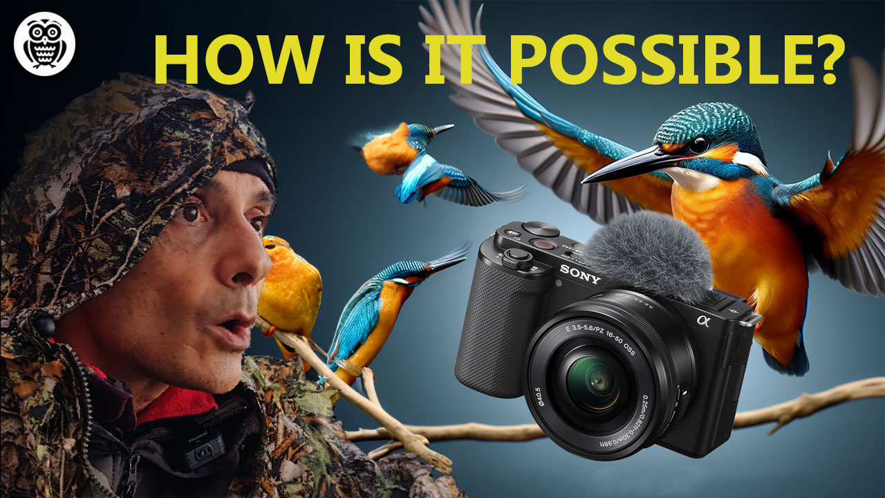 Sony ZV-E10 for birds photography - Streamed by Giuseppe Gessa