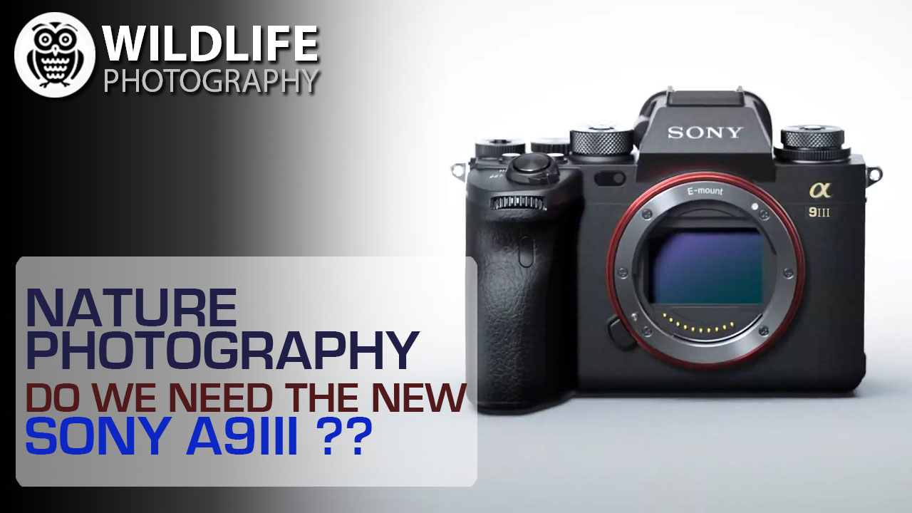 NATURE PHOTOGRAPHY | Sony | do we need the new Sony A9III? - Streamed by Giuseppe Gessa